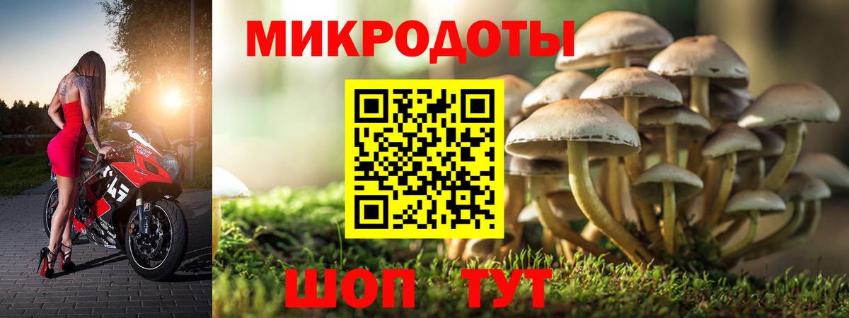 купить  цена  Вход с VPN  Галлюциногенные грибы прущие грибы  Москва  Псилоцибиновые грибы MAGIC MUSHROOMS 